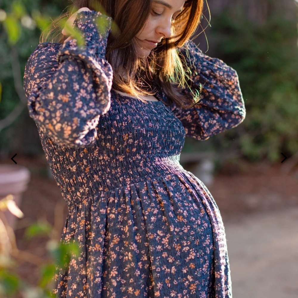 Hatch maternity dress